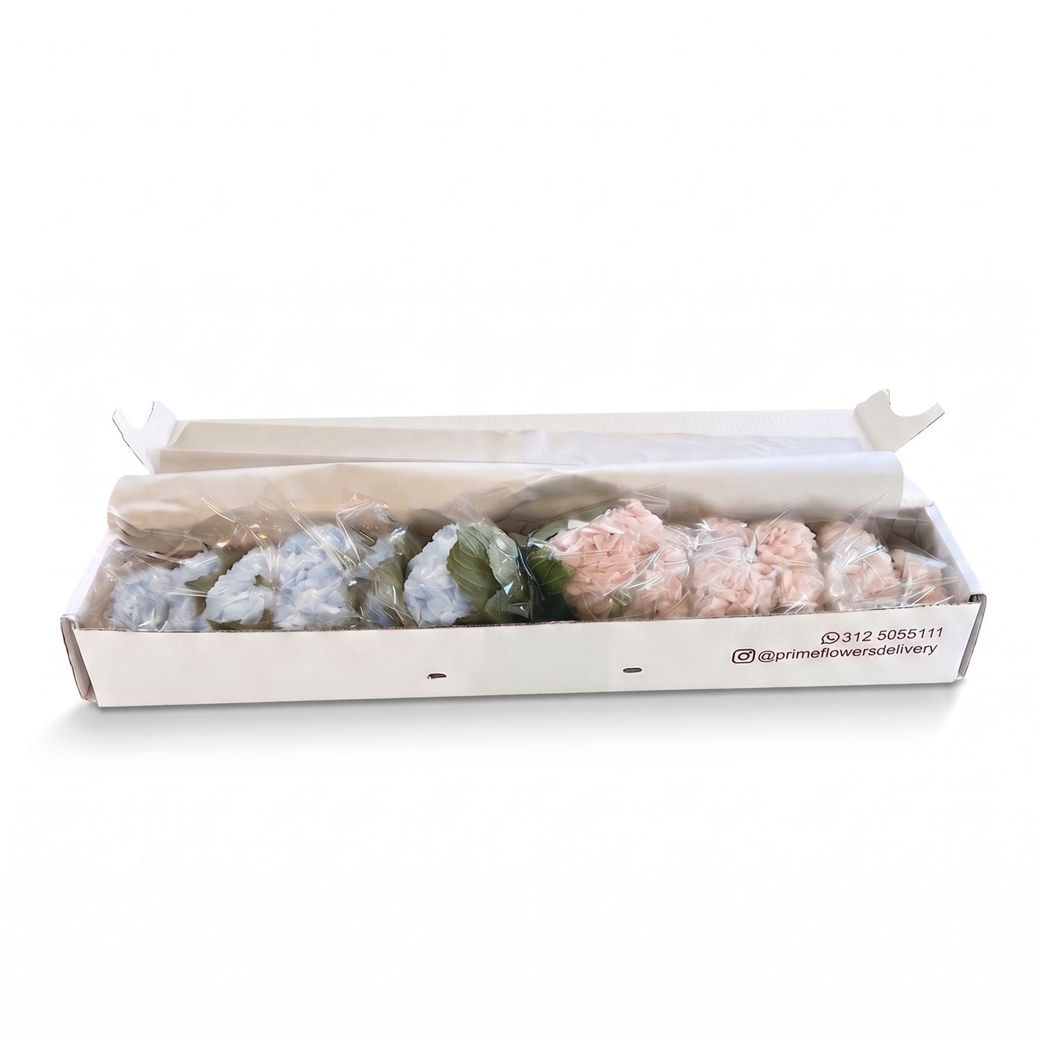 Fresh Mixed Hydrangeas — Box of 12 Stems, 6 Light Blue + 6 Light Pink