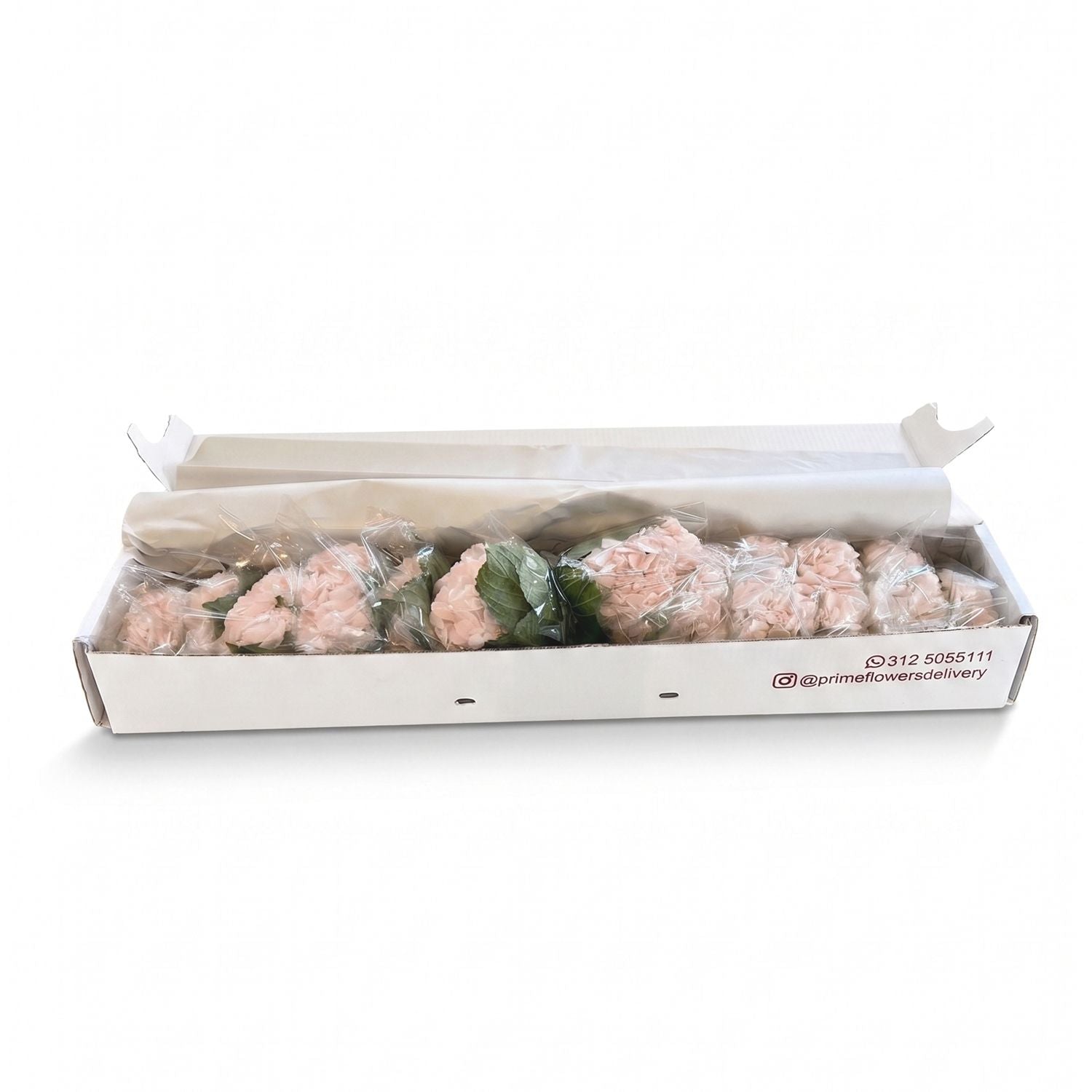 Fresh Light Pink Hydrangeas — Box of 12 Stems