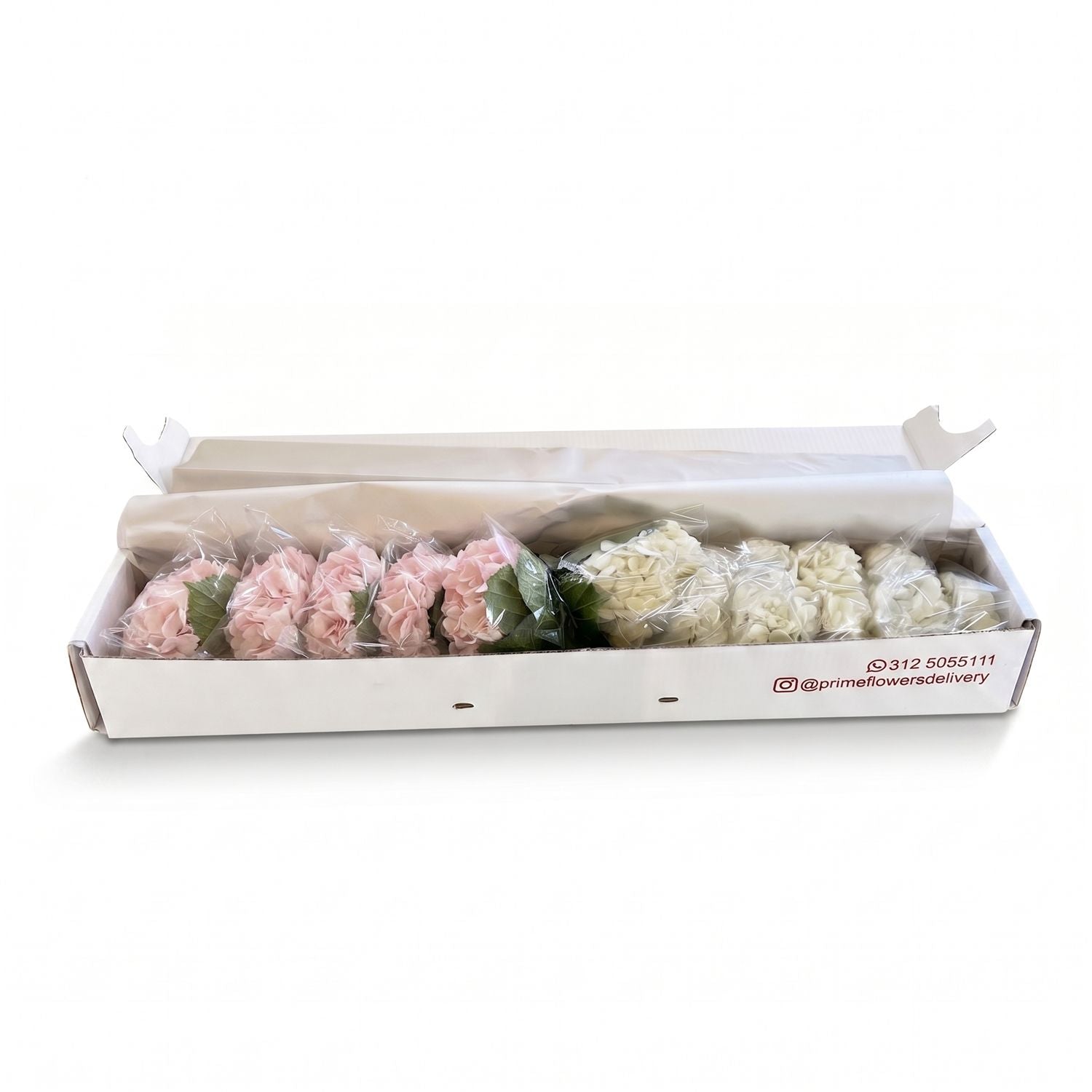 Fresh Mixed Hydrangeas — Box of 12 Stems, 6 White + 6 Light Pink