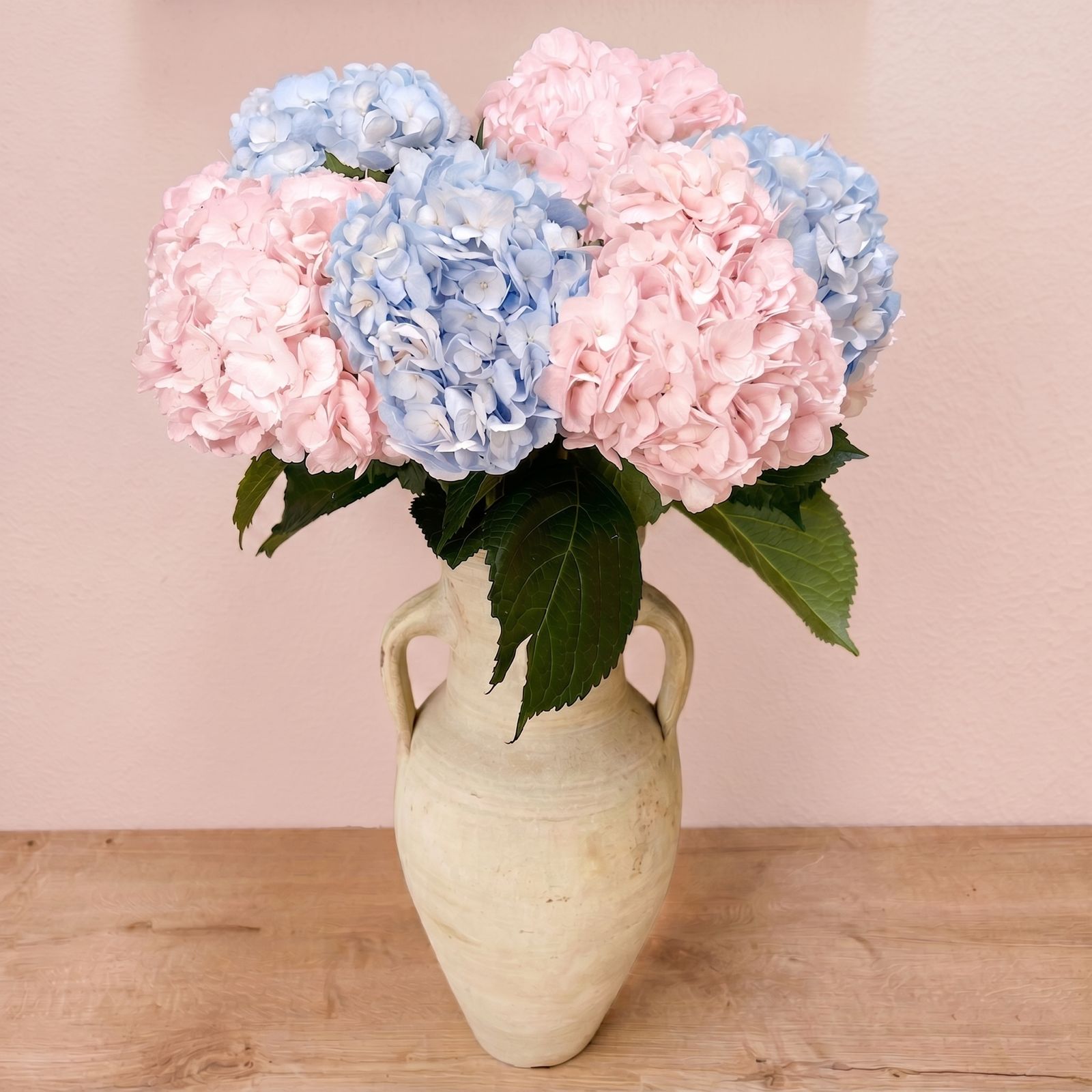Fresh Mixed Hydrangeas — Box of 12 Stems, 6 Light Blue + 6 Light Pink