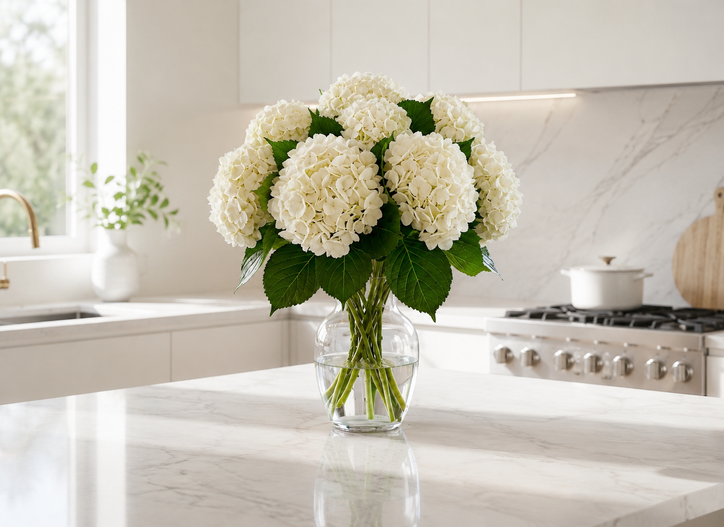 Fresh White Hydrangeas — Box of 12 Stems